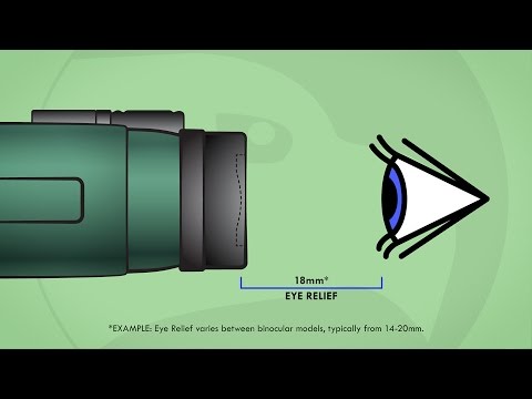 Understanding Binoculars: Eye Relief
