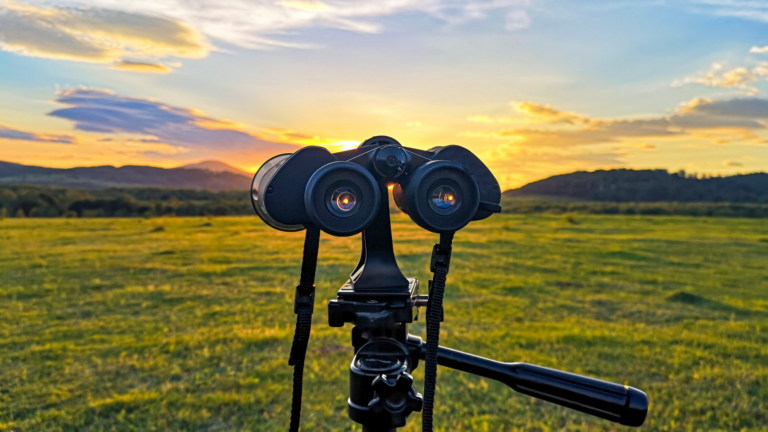 Tasco Focus Free Binoculars (Guide & Review)