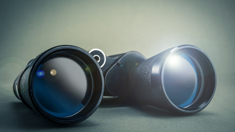 8 Best Bushnell Binoculars In 2023